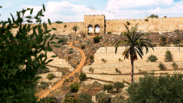 ciudad vieja de jerusalén con el templo sagrado - mount of olives fotografías e imágenes de stock