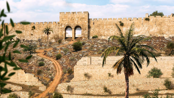 istock Old Jerusalem with palm and gate - day 1500818186