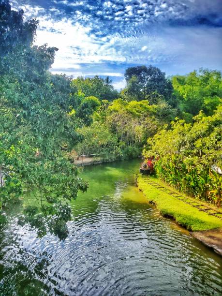 istock Train in the Garden 1500818330