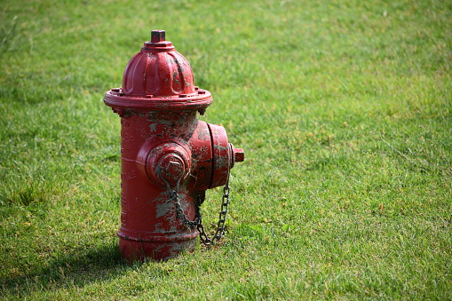 Red Worn Fire Hydrant in Urban Neighborhood Park Grass