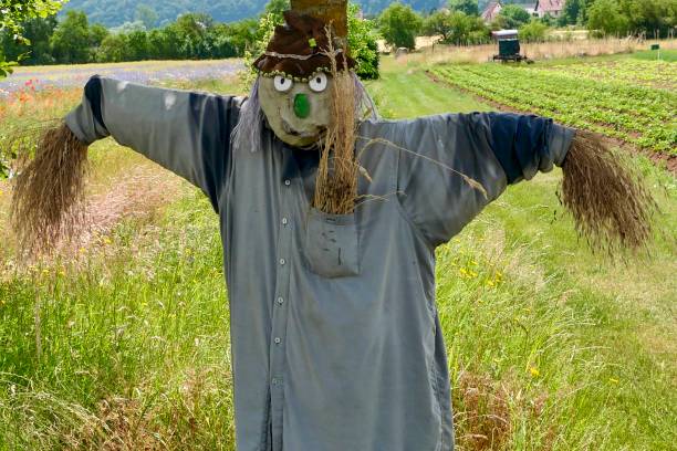 istock Funny scarecrow at a vegetable field. 1500824779