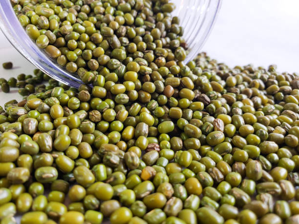 istock green mung beans Close-up 1500829196