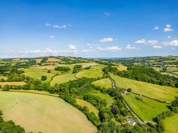 istock Rolling Hills of Dartmoor 1500830446