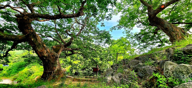 옥천군  동이면 지양리 풍경