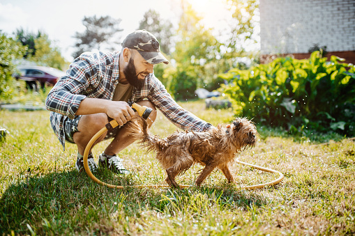 Man having fun with his dog and hose in the garden