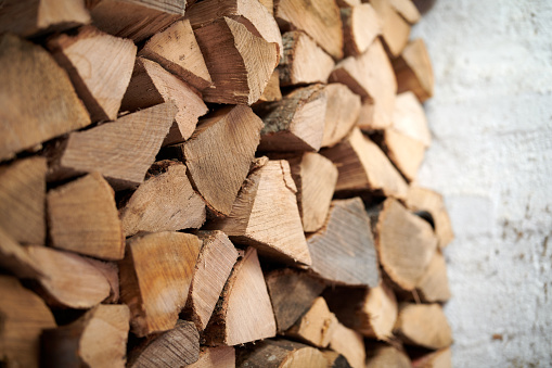 A senior Japanese man loads up his rustic fireplace in his log cabin house as the winter temperatures start dropping.