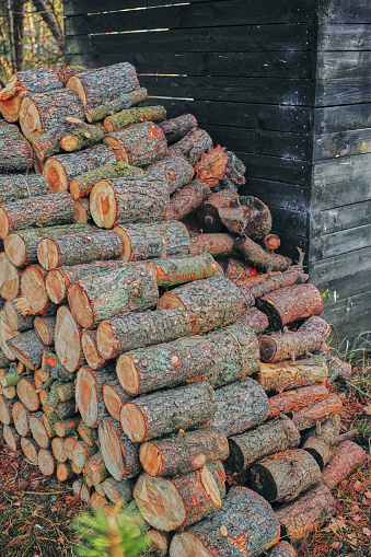 A photo of a woodpile