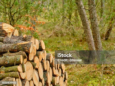 istock A photo of a woodpile 1500839412