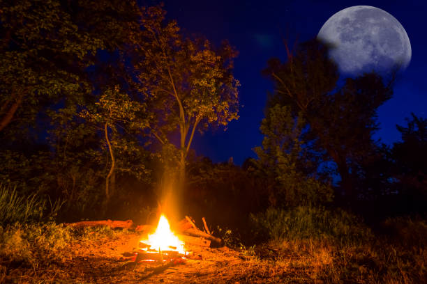 istock closeup camp fire in  forest at the night, summer camping scene 1500841739