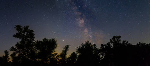 Free Stock Photo of Starry Night Sky Over Tree-filled Landscape ...