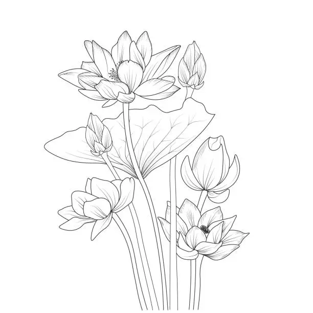 Vector illustration of Lotus flower sketch art, vintage style printed for cute flower coloring pages.Vector illustration of a Beautiful lotus flower with a bouquet of waterlily, and leaves. isolated on white background, aesthetic flower coloring pages Easy flower coloring pages