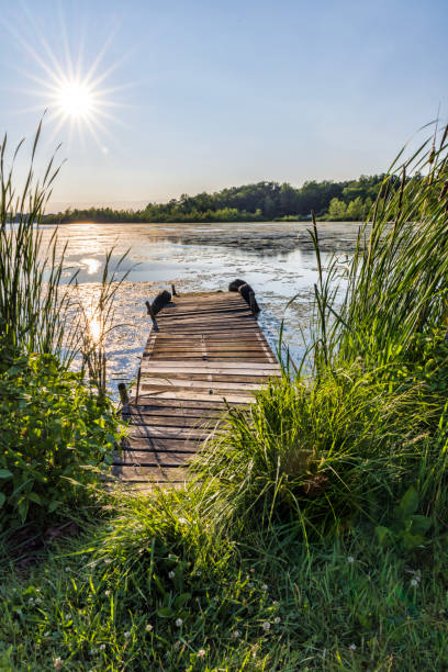 istock Old Wooden Cook in Mossy Lake 1500844016
