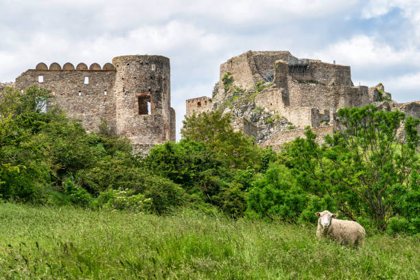 Ruins of Devin Castle in Slovakia June 21, 2023: Devin, Slovakia - The Hrad Devin in the small Slovakian town of Devin. The photo was taken during a hot summer day and shows the ruins of the castle along with the area around the Danube River which it guards. bratislava castle bratislava castle fort stock pictures, royalty-free photos & images