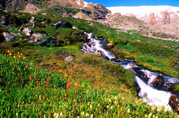 istock Adamant Mountain Range, British Columbia, Canada 1500850366