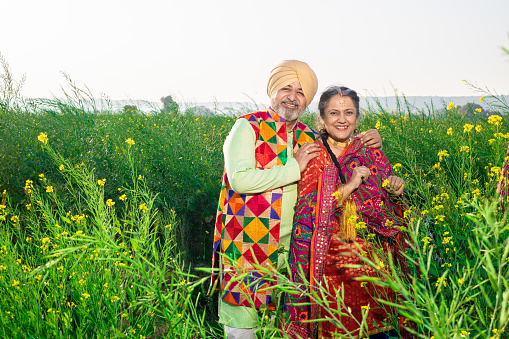 Portrait of happy senior Punjabi sikh couple wearing colorful cloths standing together at agriculture field. Looking at camera.
