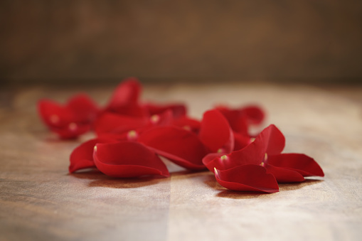 red rose petals on old wood table, romantic background photo