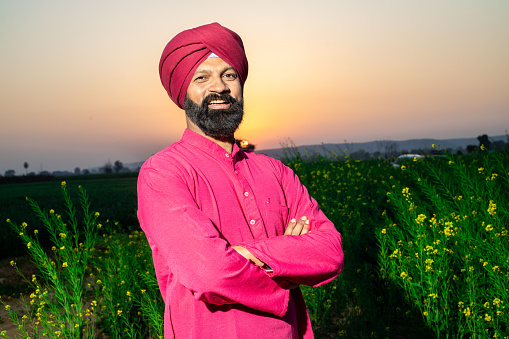 Portrait of happy young punjabi sikh man farmer standing cross arms wearing red turban and kurta looking at camera at agriculture field.