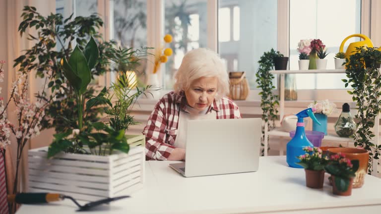 Senior woman keeping sale records on laptop in a florist shop, small business