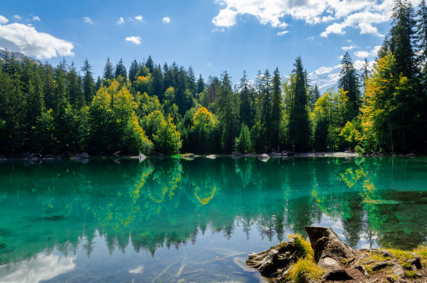 istock Blue mountain lake with pines 1500856900