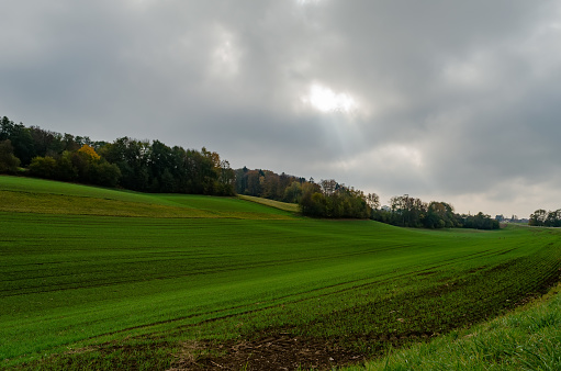 View of a grass field on a cloudy day
