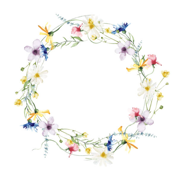 Watercolor painted floral wreath on white background. Yellow, blue, white and pink wild flowers. Vector illustration. Watercolor painted floral wreath on white background. Yellow, blue, white and pink wild flowers. Circular shape frame. Traced vector illustration. bunch of flowers images pictures stock illustrations