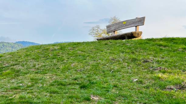 istock Wooden bench up the hill 1500869515
