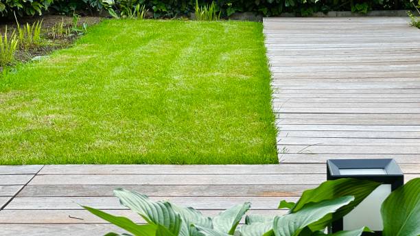 istock Lawn and wooden planks 1500869643