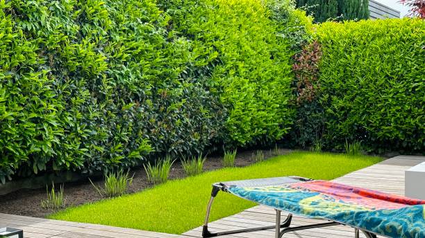 istock Sunny day in the garden 1500870325