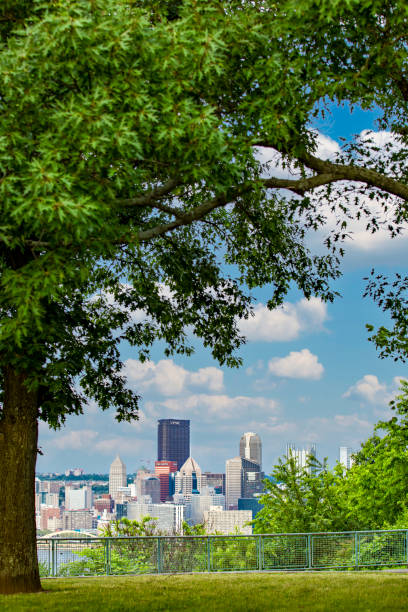 istock Pittsburgh Peeking Through the Trees 1500873273