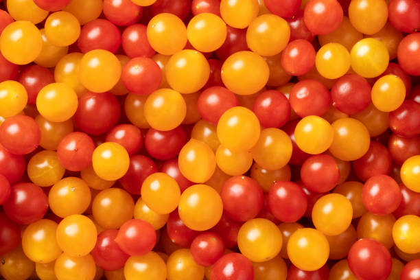 istock Red and yellow Tomberry tomatoes close up full frame 1500874083