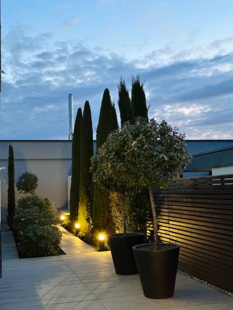 istock Illumination around the house, entrance 1500875353