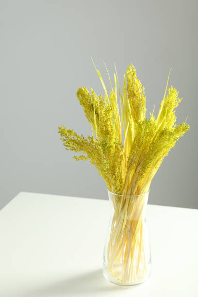 istock Dried flowers on white table against gray background 1500875681