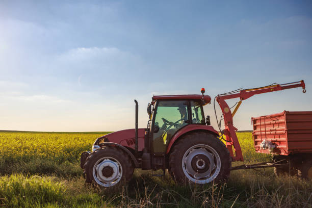 istock Tractor pulling trailer for harvested crops in agricultural field 1500877713