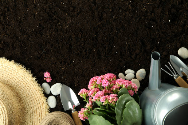 istock Gardening tools and accessories on soil background 1500877757