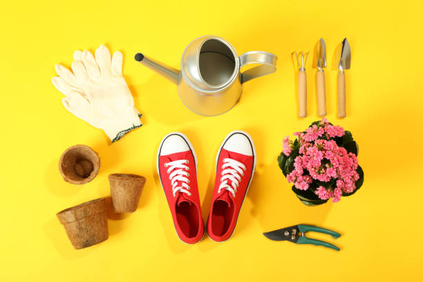 istock Accessories and tools for gardening on yellow background 1500877814