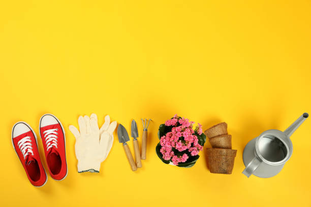 istock Gardening tools and accessories on yellow background 1500877849