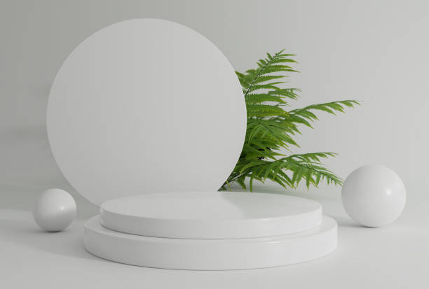 istock white room with white podium and plant at background 1500882277