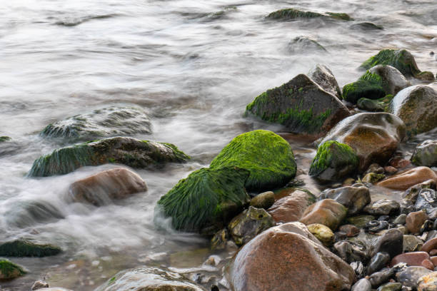 Langzeitbelichtung mit Algen bewachsene Steine von Ostsee Wasser umspült