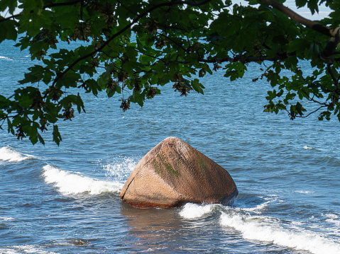 Schwanenstein Findling vor der Insel Rügen eingerahmt von Baumblättern
