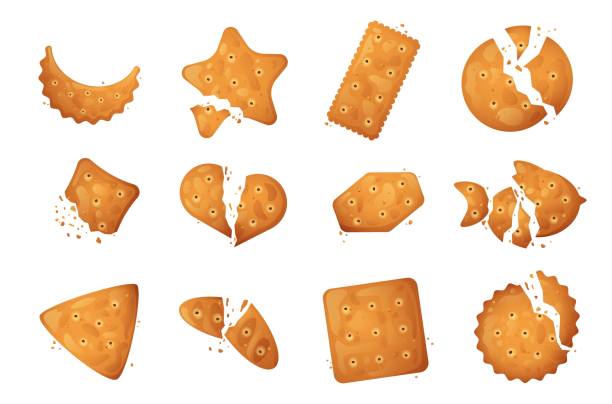 illustrations, cliparts, dessins animés et icônes de ensemble de miettes de craquelin. biscuits cassés biscuits biscuits snack, craquelins cassés de dessins animés différentes formes et tailles. collection vectorielle isolée de biscuits alimentaires et illustration de biscuits - cookie chocolate chip chocolate chip cookie cartoon