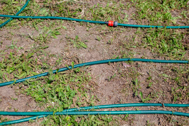 istock A long garden hose for watering with a quick-release coupling lies on the ground 1500886352