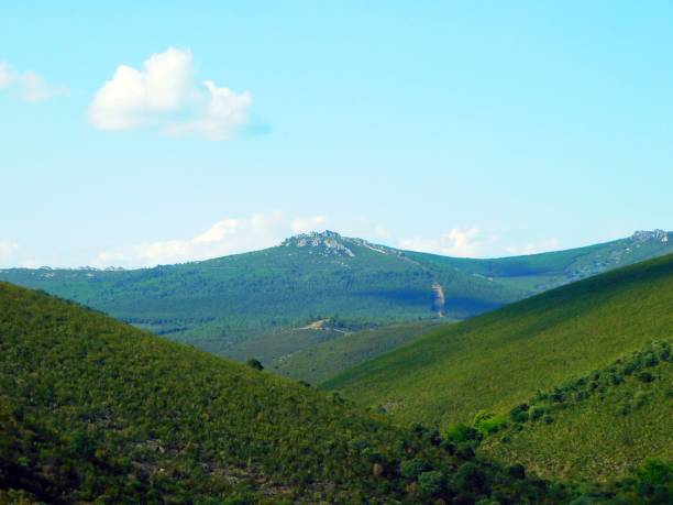 istock Tranquil Path Through Rural Landscape in SIerra de la Culebra, Zamora 1500887242