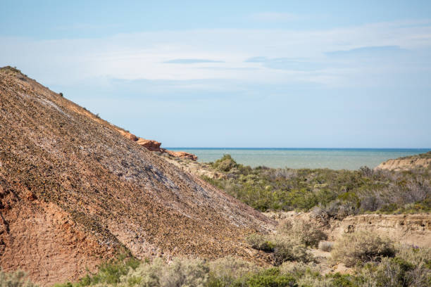 istock Rocas Coloradas Protected Area, Comodoro Rivadavia 1500888433