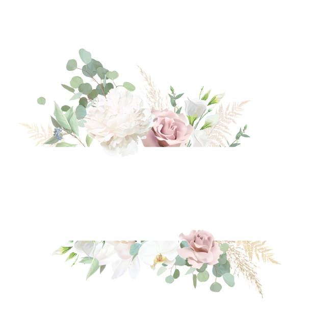 Dusty pink rose, white lisianthus, peony, magnolia, eucalyptus, greenery, pampas grass, fern vector Dusty pink rose, white lisianthus, peony, magnolia, eucalyptus, greenery, pampas grass, fern vector design banner. Wedding seasonal flower card. Floral watercolor composition. Isolated and editable drawing of a green lisianthus stock illustrations