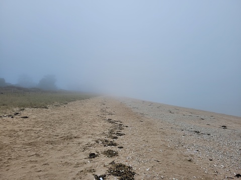 fog on the beach