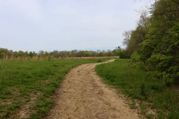 istock Trail in the Country Field 1500895681