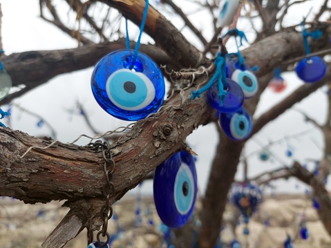 A closeup of tree with multiple blue evil eye charms hanging from it