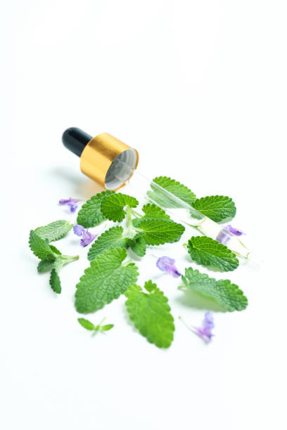 istock Concept of aromatherapy with mint on white background 1500897035