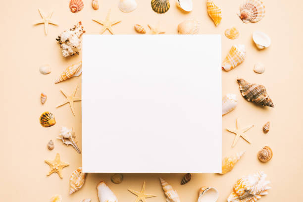 istock Summer time concept with blank greeting card and blank white paper on colored background. Seashells from ocean shore in the shape of frame separated with space for text top view 1500897137