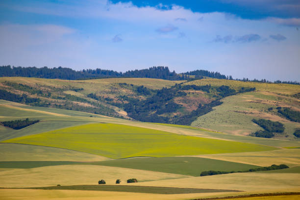Farmland and vineyards in the Blue Mountains in Walla Walla, Washington